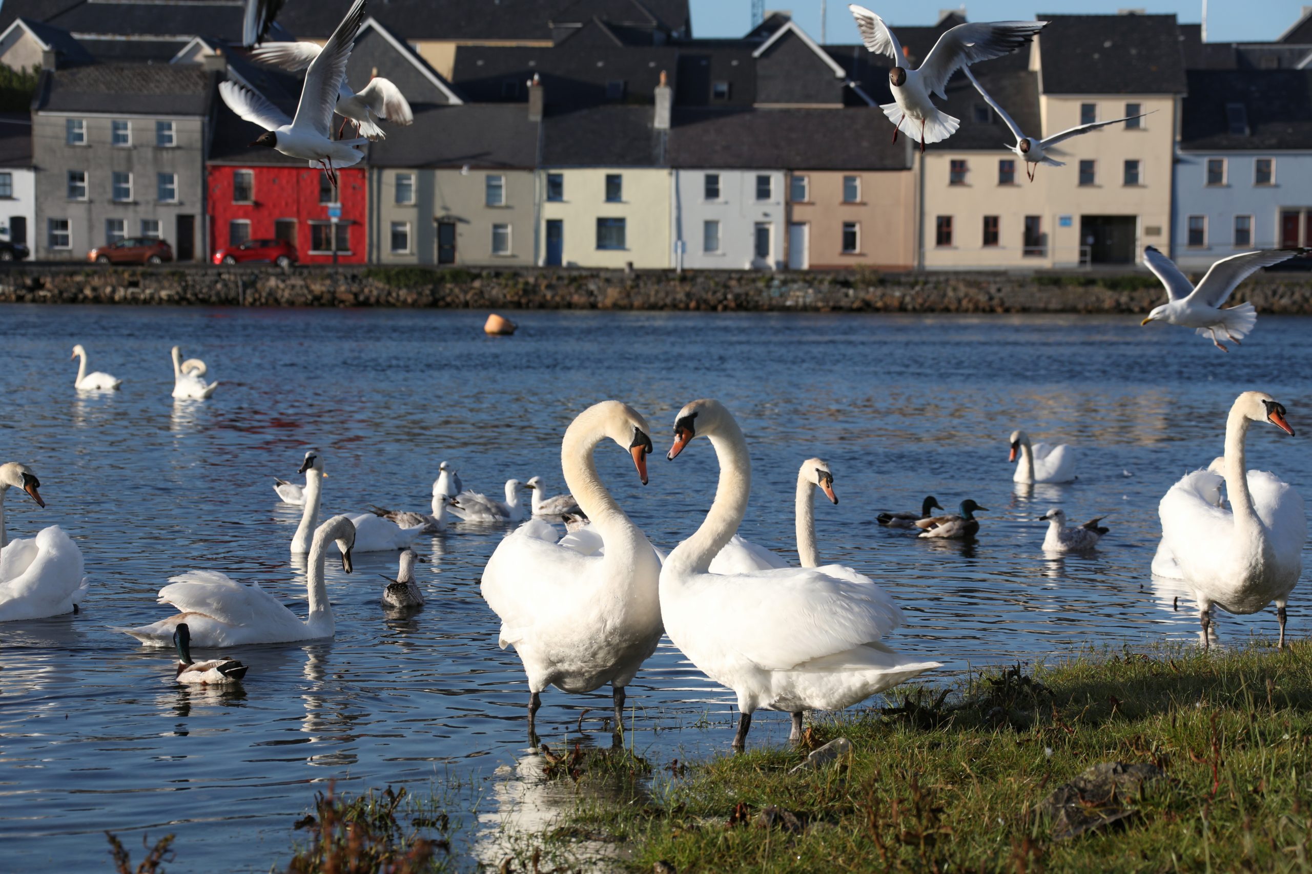 the galway hotel and spa